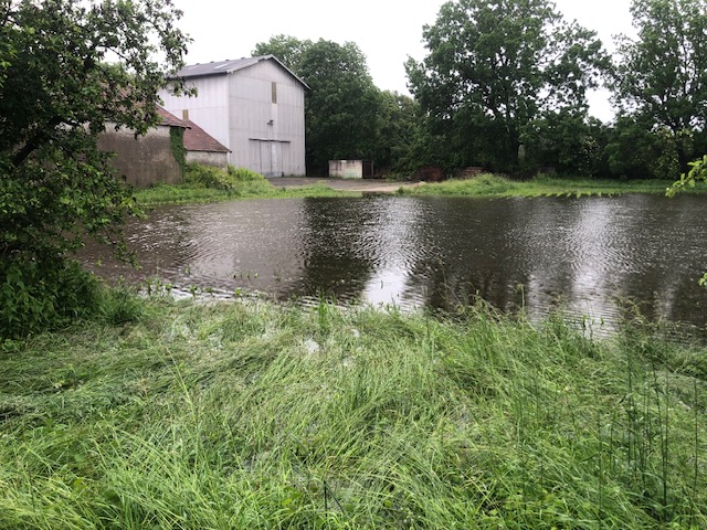 Postfeld Heimgarten Maisfeld neben BP98a